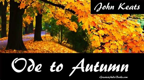 Odes to the Ultimate Autumn Fuel