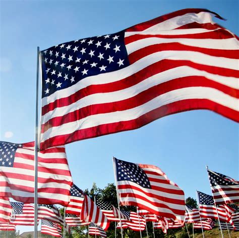 Patriotic Wishes for a Free World
