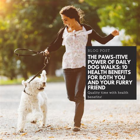 Paws-itive Life Advice for Your Best Year Yet