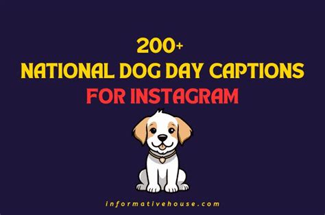 Paws-itively Perfect Captions for Social Media