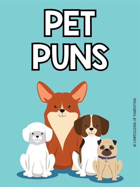 Paws-itively Purrfect Birthday Puns