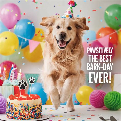 Pawsitively Hilarious Birthday Barks