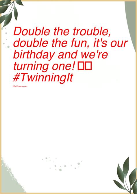 Perfect Captions for Twin Birthday Photos