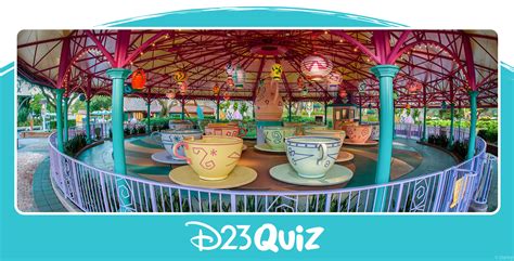Perfect Phrases for the Ultimate Disney Fan