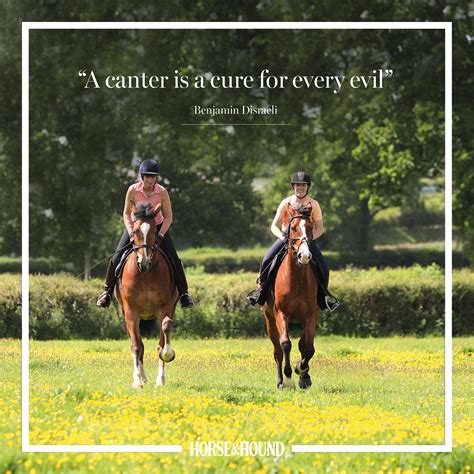 Philosophical Musings on Wishes, Horses, and Hard Work