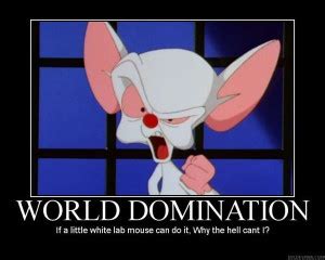 Plans for World Domination (or Just a Great Day): Wishes from Pinky & the Brain