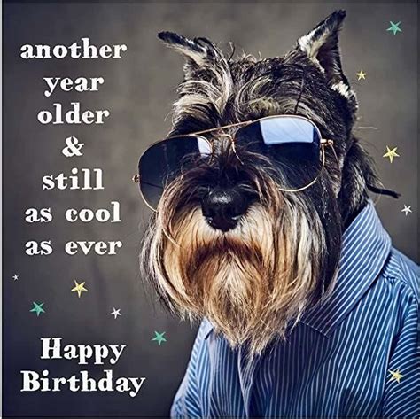 Playful & Funny Birthday Banter (Taquineries Amusantes pour l'Anniversaire)