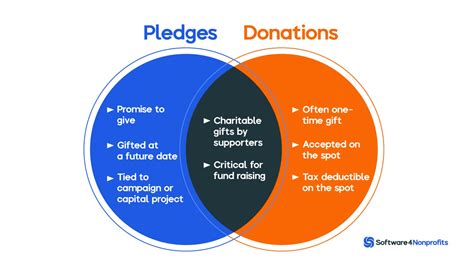 Pledges of Non-Monetary Support