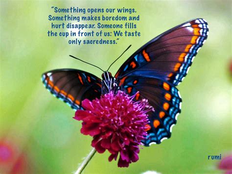 Poetic and Whimsical Butterfly Blessings