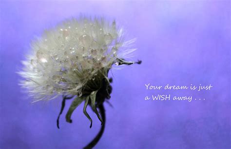 Poetic & Dreamy Wishes (Поэтические и мечтательные пожелания)