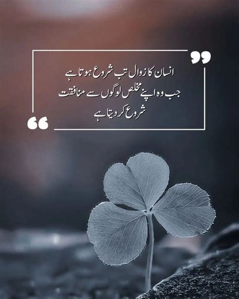 Poetic & Heartfelt Urdu-Inspired Wishes