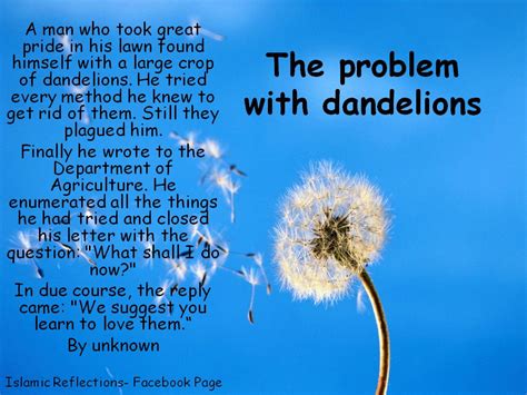 Poetic & Reflective Dandelion Wishes