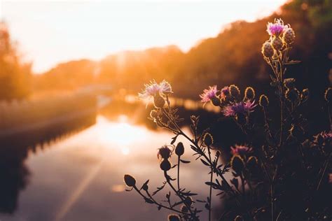 Poetic & Serene Wishes for a Gentle Start