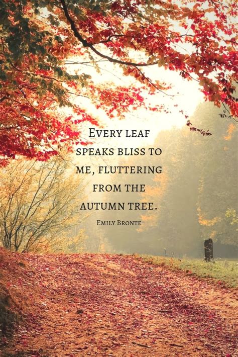 Poetic Wishes Inspired by Autumn's Beauty