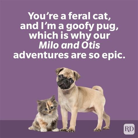 Pop Culture Quips & Compliments