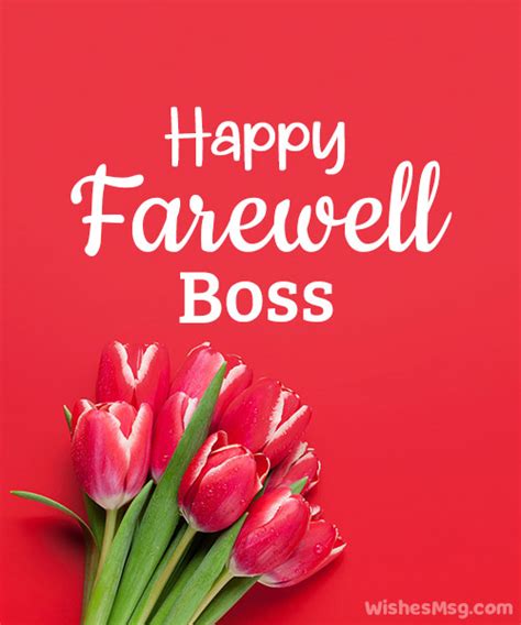 Professional & Polished Farewells for a Boss or Mentor