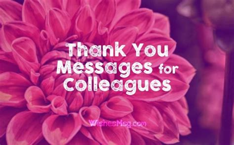 Professional & Polished Messages for Colleagues or Clients