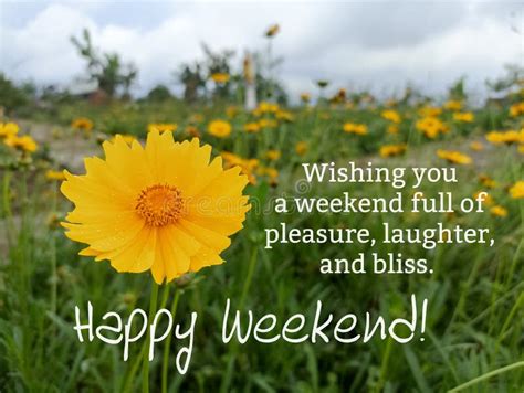 Professional & Polished Weekend Wishes