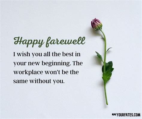 Professional & Respectful Messages for a Colleague or Boss