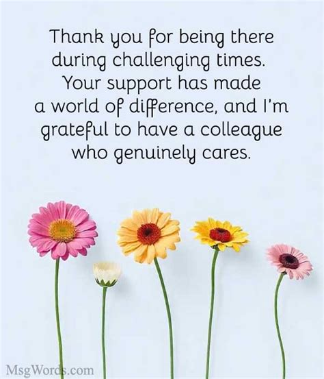 Professional & Supportive Messages for a Colleague