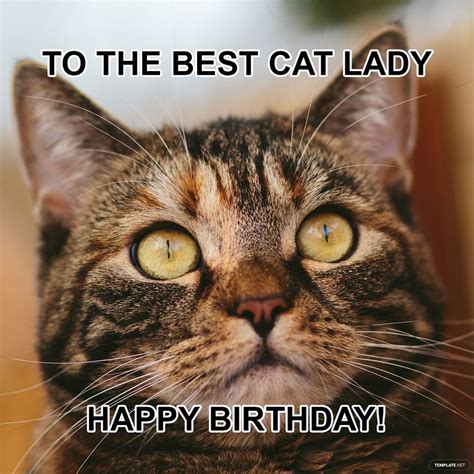Purr-fectly Punny Birthday Wishes