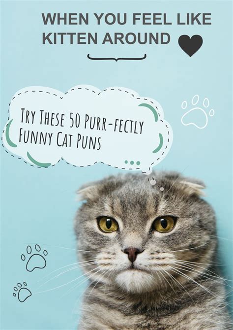 Purr-fectly Punny Cat Birthday Puns