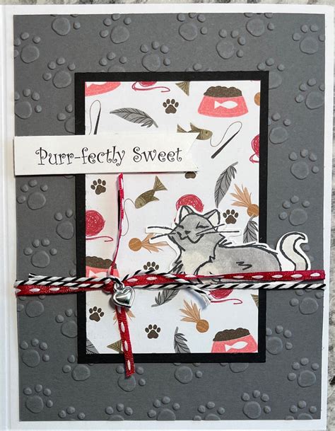 Purr-fectly Sweet & Heartfelt Wishes
