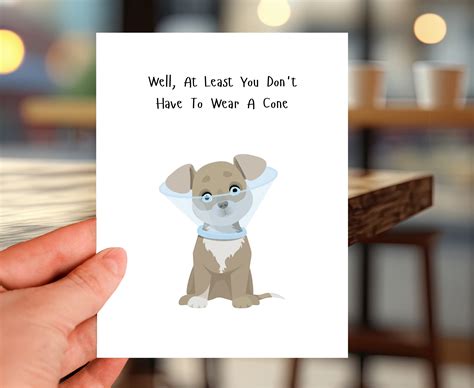 Quirky Wishes & Quark-Approved Schemes
