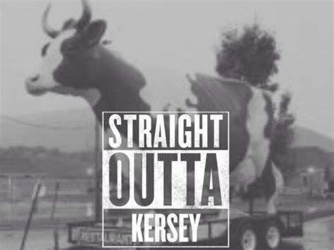 Quotes Straight from Kersey's Playbook