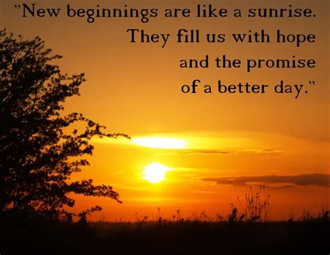 Rays of Hope: Wishes for New Beginnings and Positivity