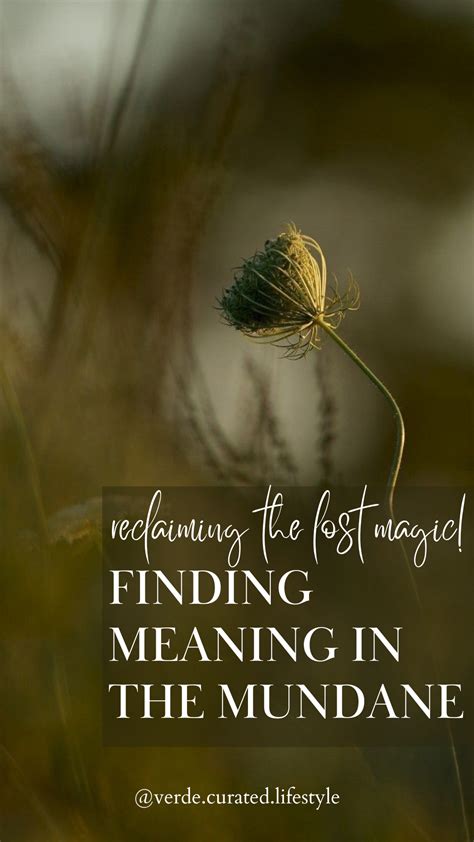 Redefining Romance: Finding Magic in the Mundane