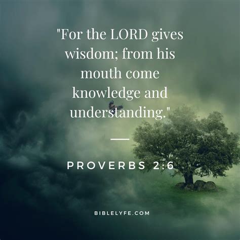 Reflections on the Wisdom Gained