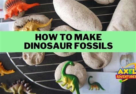 Roasts About Getting Older (Perfect for Dinosaur & Fossil Images)