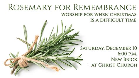 Rosemary for Remembrance: Non-Traditional Sympathy Wishes