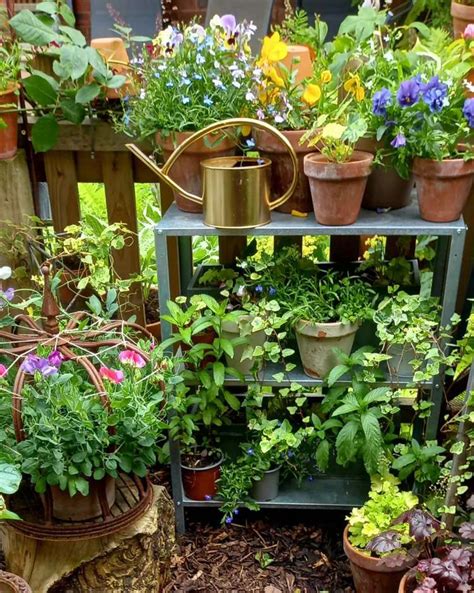 Rustic & Charming: Plans for a Timeless Garden Look