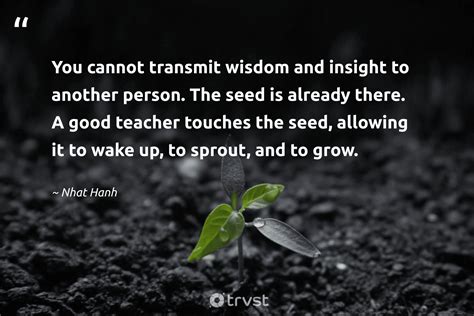 Seeds of Wisdom & Gentle Advice