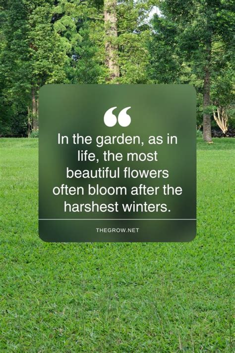 Sentiments for a Flourishing Garden & Life