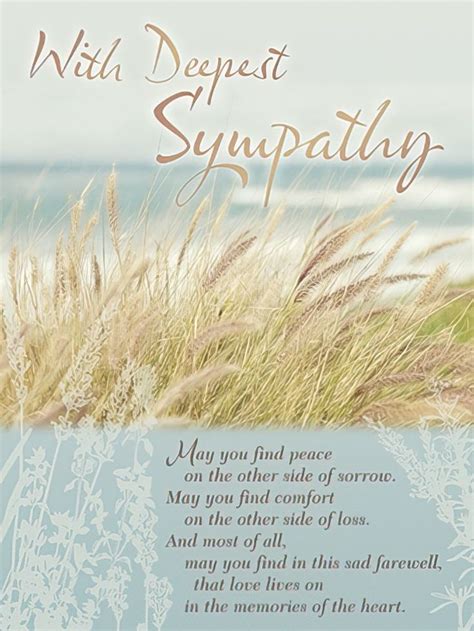 Short & Sincere Messages for a Touch of Calm