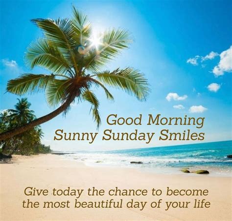 Short & Sunny Messages (Perfect for Texts)