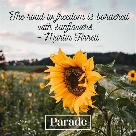 Short & Sunny Sunflower Quotes for Texts & Social Media