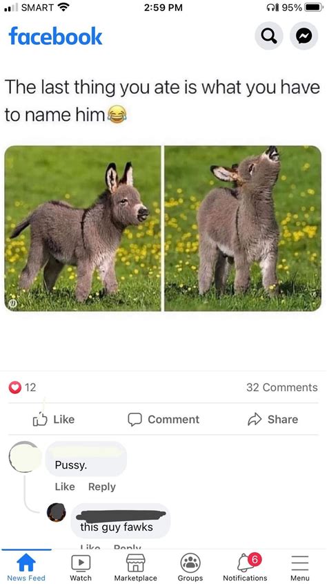 Short, Sweet, and Hilariously to the Point