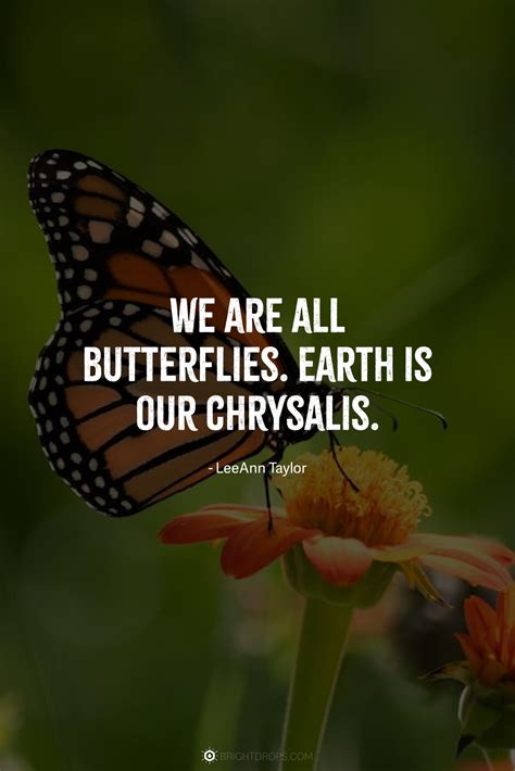 Short & Sweet Butterfly Texts