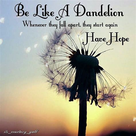 Short & Sweet Dandelion Messages