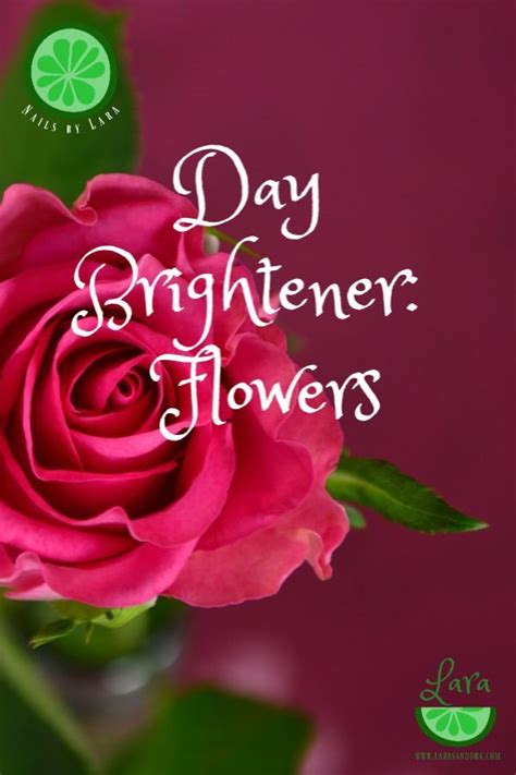 Short & Sweet Day-Brighteners for a Quick Text
