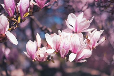 Short & Sweet Glimmers of Hope
