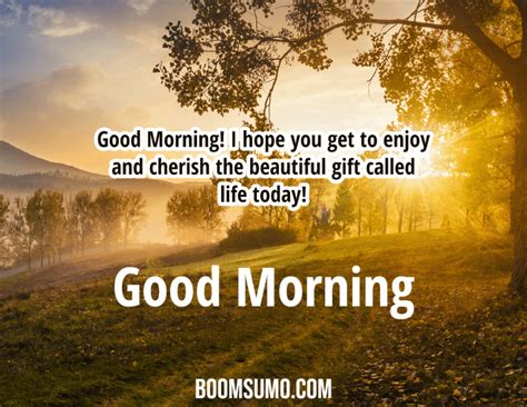Short & Sweet Morning Blessings for a Quick Text