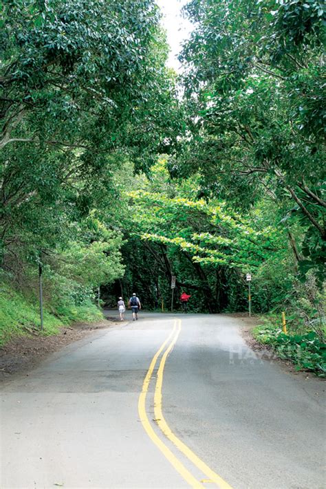 Short, Sweet & Scenic: When the Picture Says It All