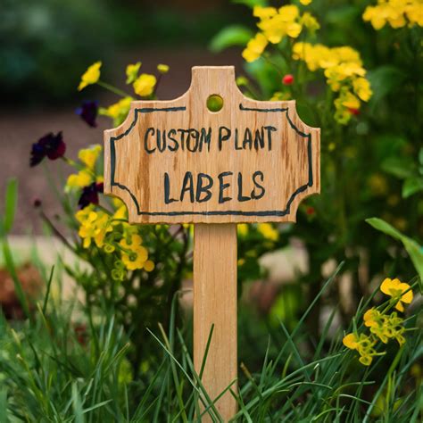 Short & Sweet Wishes for a Plant Tag