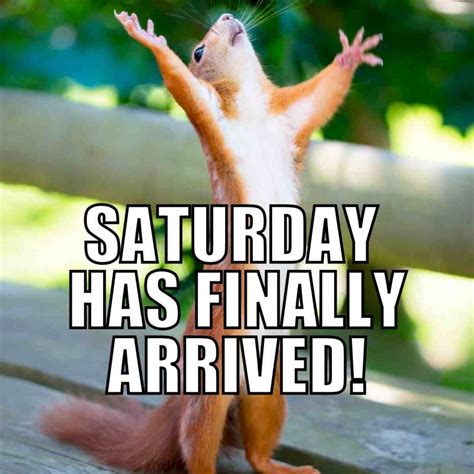 Silly Saturday: Funny Messages to Start the Weekend with a Laugh