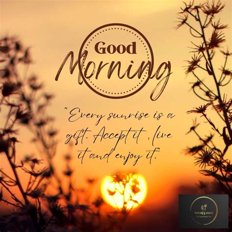 Solemn & Reflective Wishes for a Meaningful Day